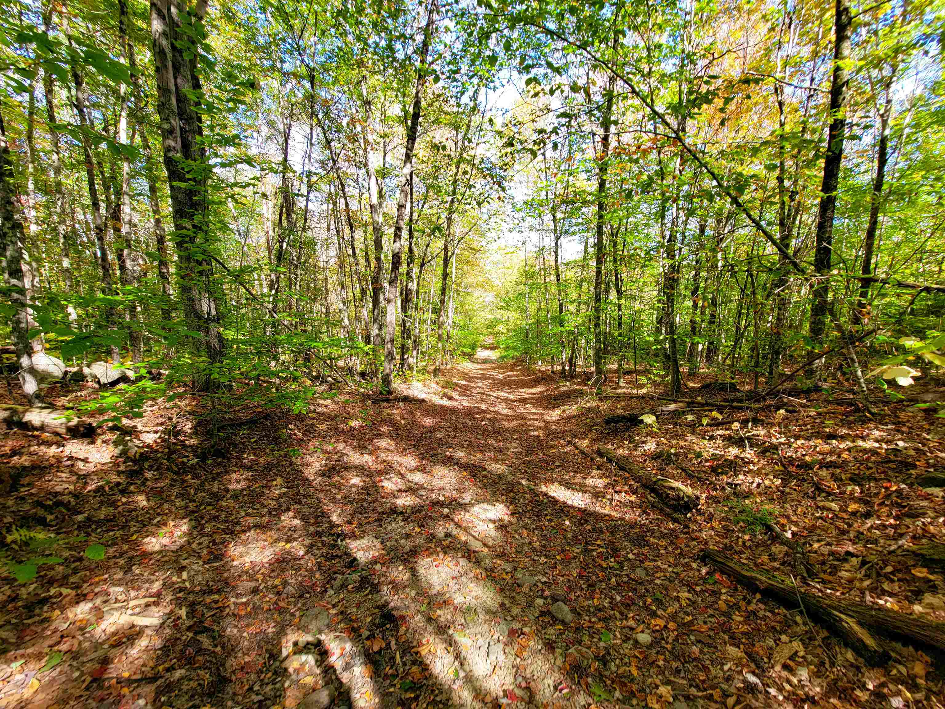 190 Gale Road Gilmanton, NH 03237 - Photo 7 of 46