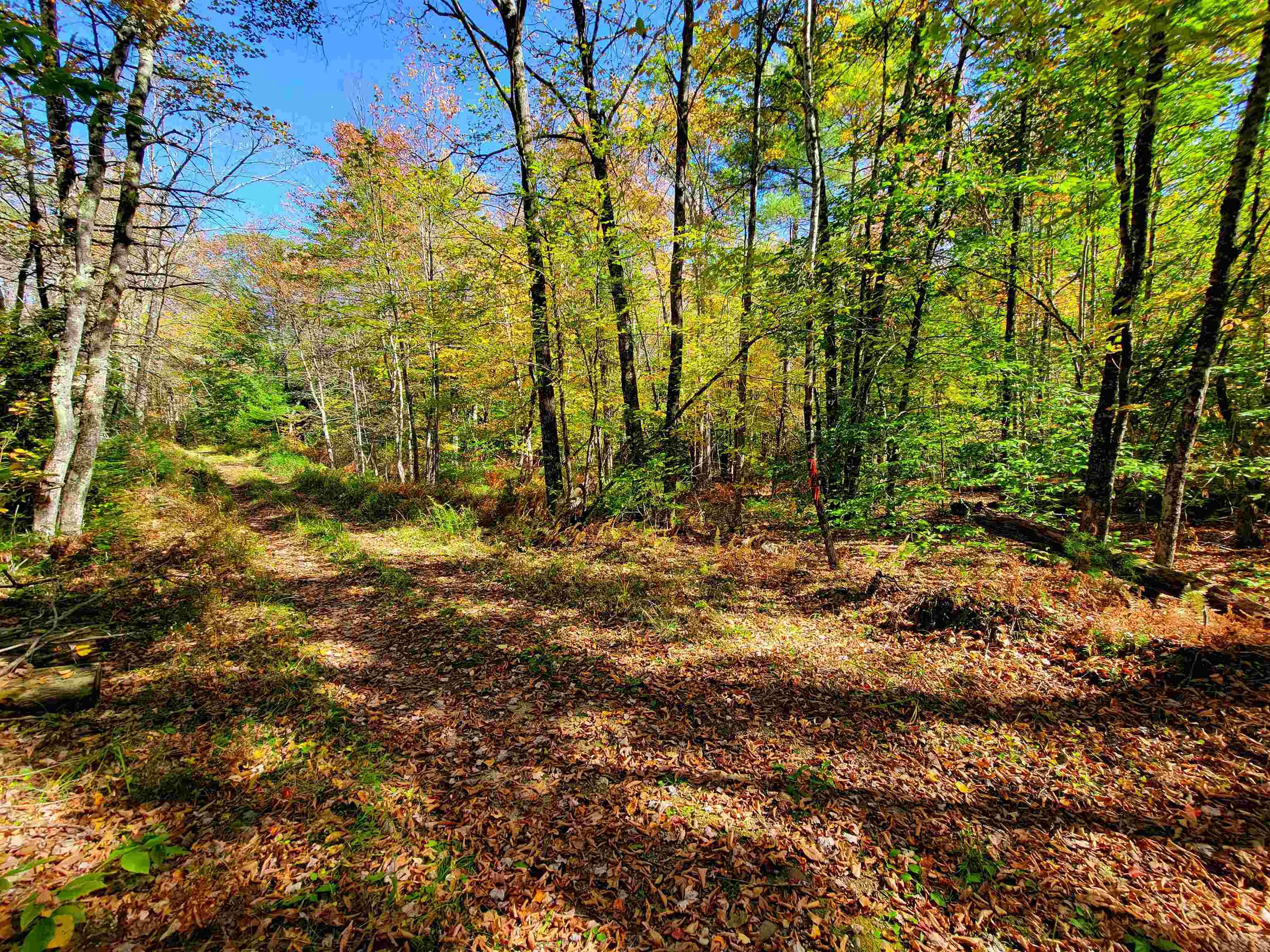 190 Gale Road Gilmanton, NH 03237 - Photo 8 of 46