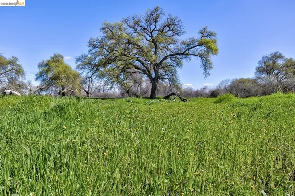 $2,350,000 | 16642 Hickory Avenue, Patterson, CA 95363