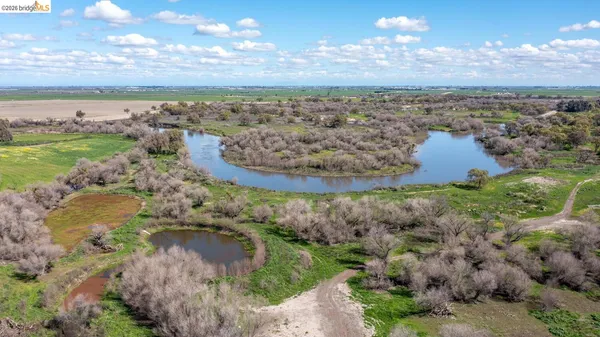 a view of yard with green space