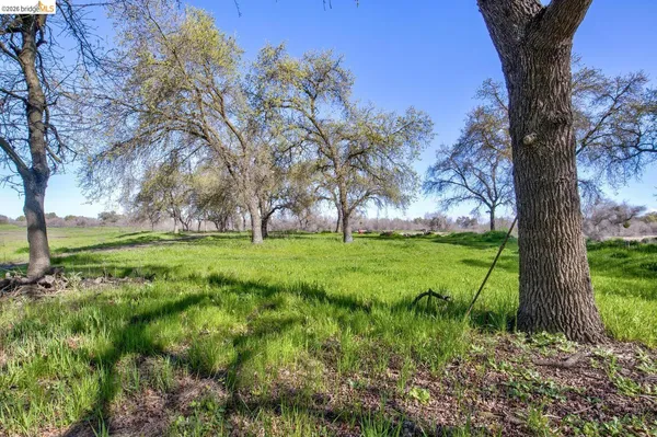 a view of backyard with green space
