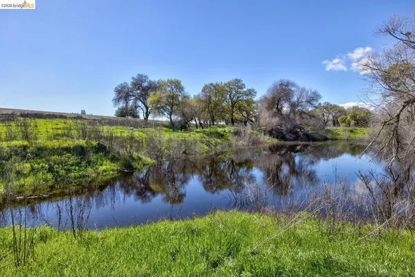 a view of a lake from a yard