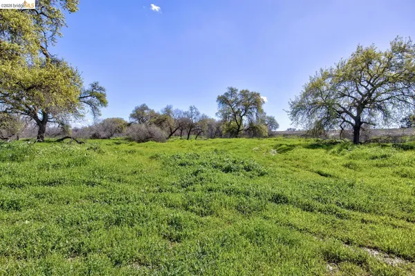a view of a grassy field with trees