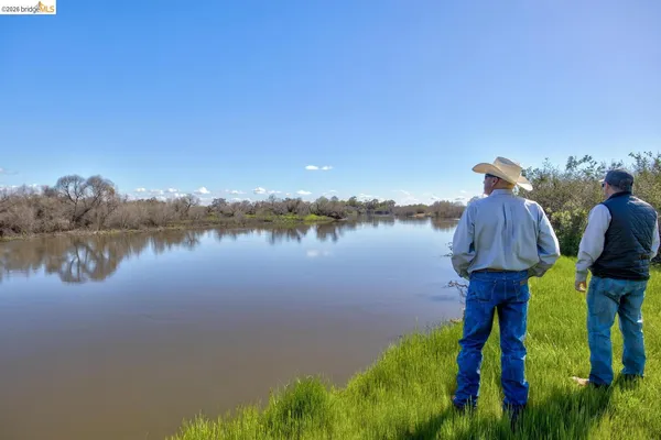 a view of a lake from a yard