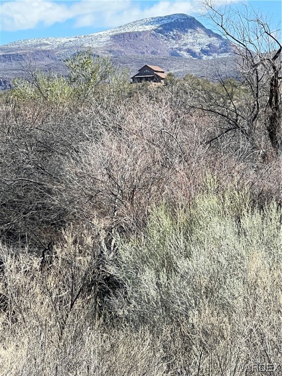 19167 Cholla Canyon Ranch Road Wikieup, AZ 85360 - Photo 14 of 97 a view of a dry yard with wooden floor and a mountain view