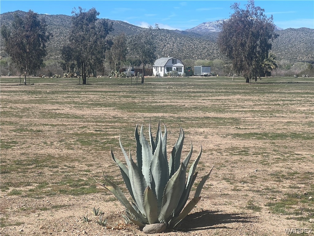 19167 Cholla Canyon Ranch Road Wikieup, AZ 85360 - Photo 3 of 97