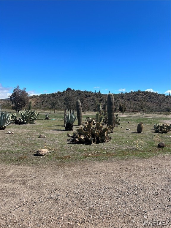 19167 Cholla Canyon Ranch Road Wikieup, AZ 85360 - Photo 39 of 97 a view of a yard with a tree