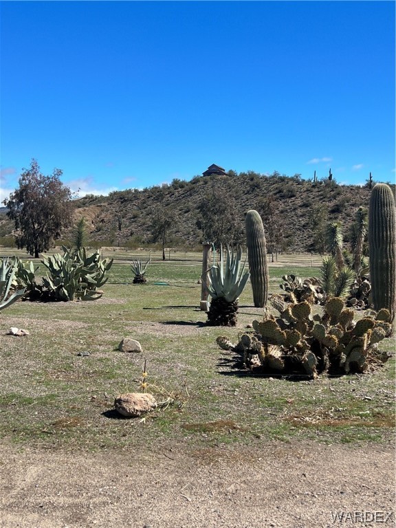 19167 Cholla Canyon Ranch Road Wikieup, AZ 85360 - Photo 40 of 97