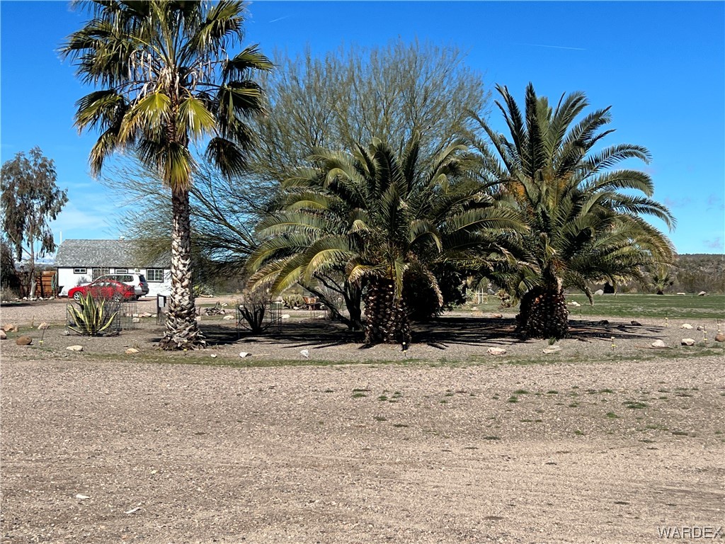 19167 Cholla Canyon Ranch Road Wikieup, AZ 85360 - Photo 44 of 97