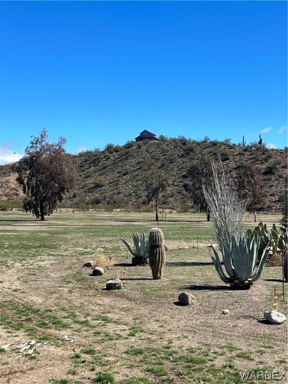 19167 Cholla Canyon Ranch Road Wikieup, AZ 85360 - Photo 46 of 97