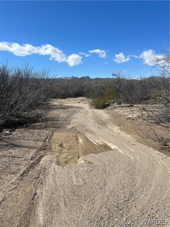 19167 Cholla Canyon Ranch Road Wikieup, AZ 85360 - Photo 66 of 97 a view of a yard with sunset view