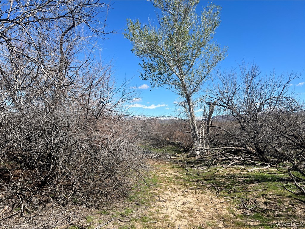 19167 Cholla Canyon Ranch Road Wikieup, AZ 85360 - Photo 69 of 97 a view of outdoor space and a yard