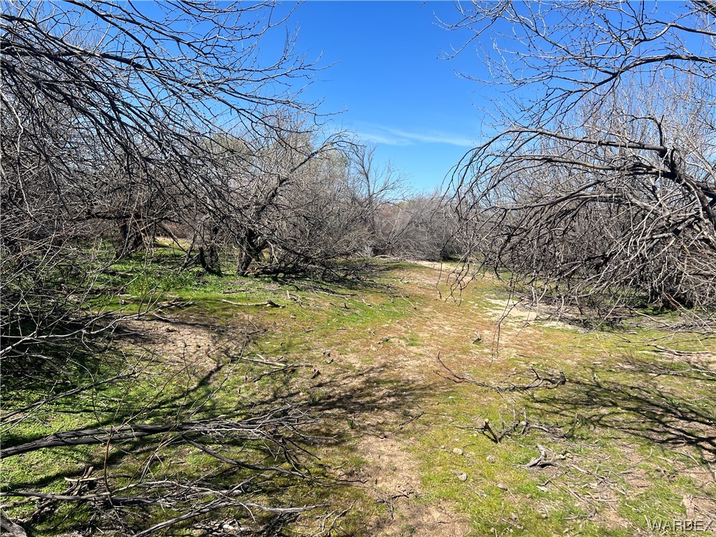 19167 Cholla Canyon Ranch Road Wikieup, AZ 85360 - Photo 70 of 97 a view of a yard with an outdoor space