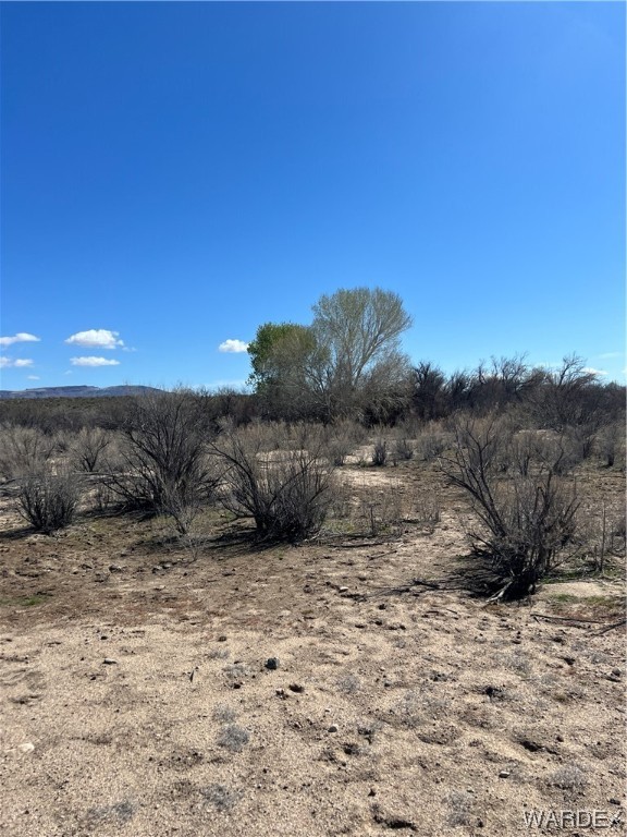 19167 Cholla Canyon Ranch Road Wikieup, AZ 85360 - Photo 74 of 97 a view of a dry yard with trees