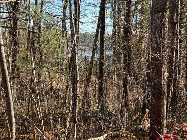 2 Mariner's Way Bath, ME 04530 - Photo 41 of 47 IMG_4624