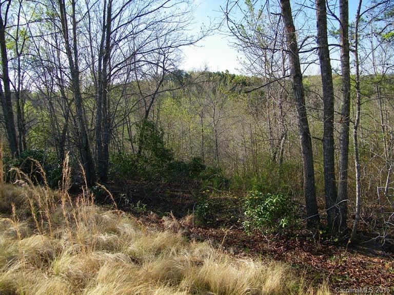 Lot 47 Hickory Loop Rutherfordton, NC 28139 - Photo 14 of 20