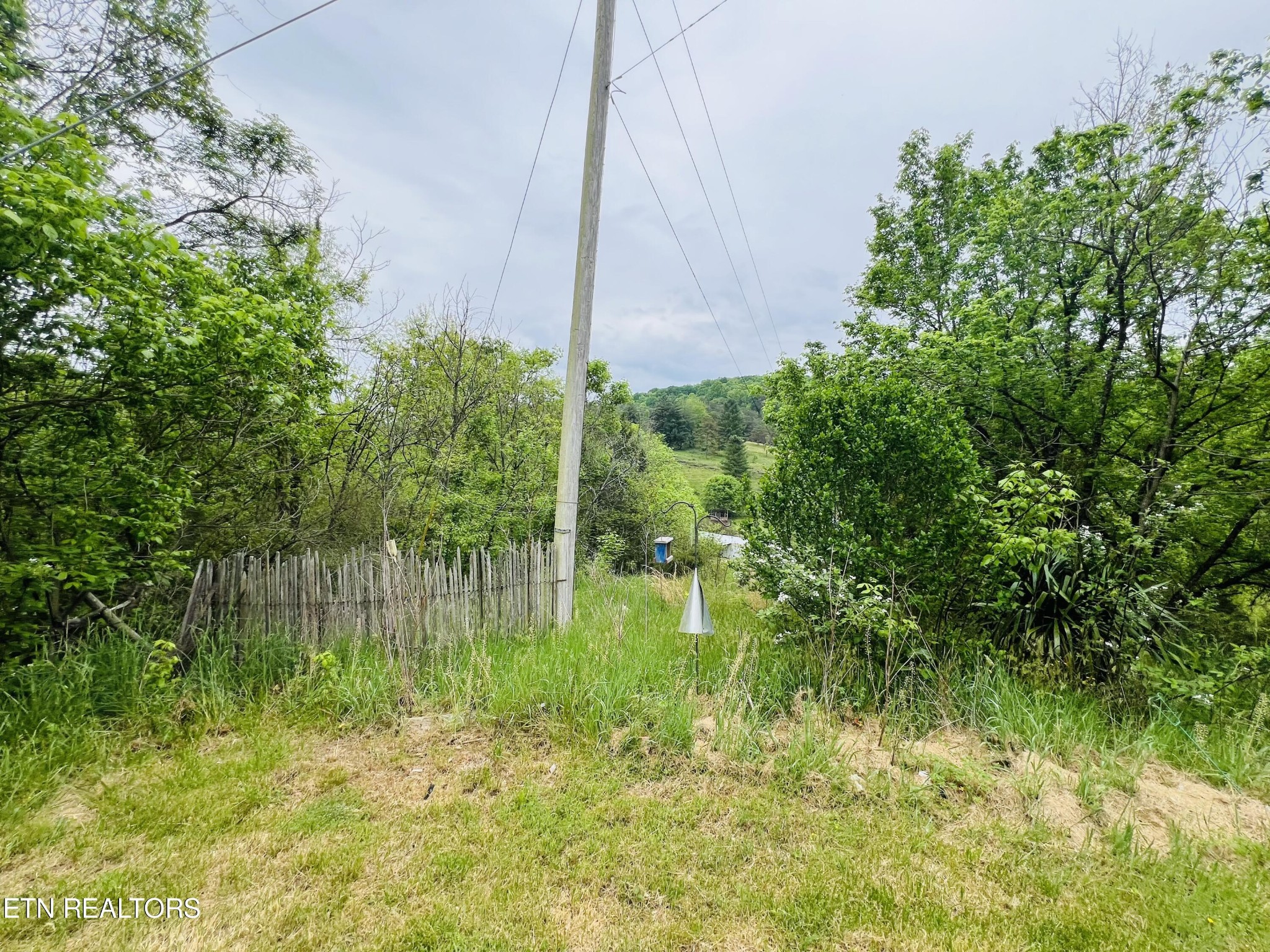 1747 Trent Valley Road Sneedville, TN 37869 - Photo 29 of 33 Gallery Image 29
