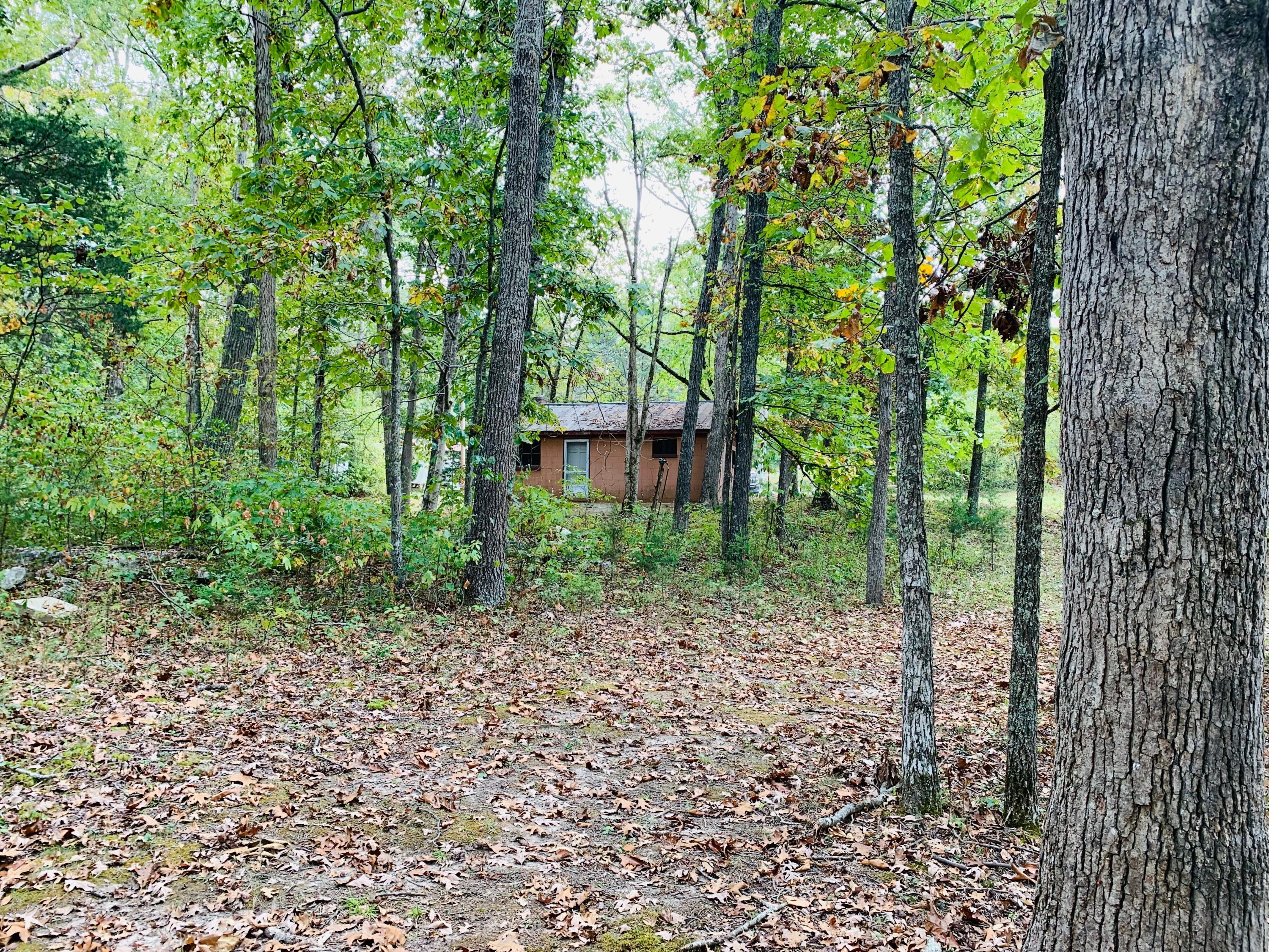 516 Dripping Spring Road Bronston, KY 42518 - Photo 13 of 20 IMG-1048