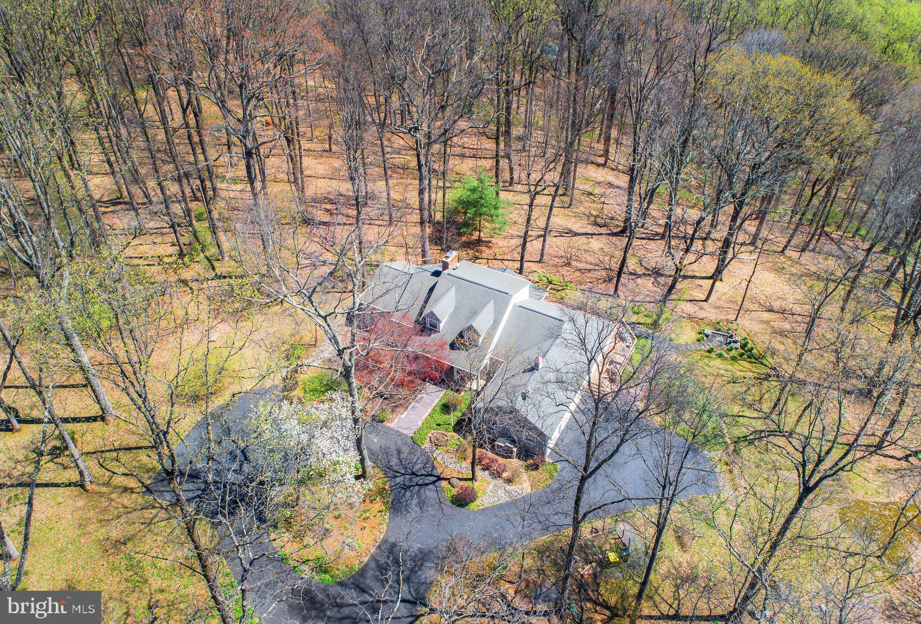 20 Solebury Mountain Road New Hope, PA 18938 - Photo 40 of 43 a picture of trees