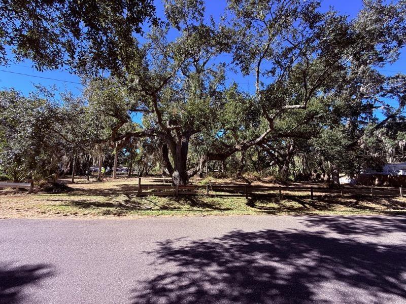 1204 Davies Road Brandon, FL 33511 - Photo 3 of 4