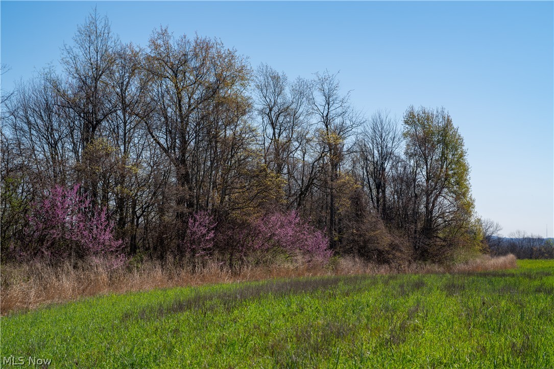 Sealover Hollow Rd Road Philo, OH 43771 - Photo 27 of 36