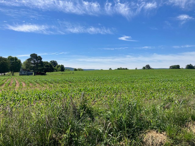 0 Wilder Road Hillsboro, TN 37342 - Photo 2 of 4