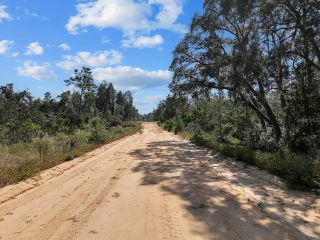 a view of a road with a trees in the background
