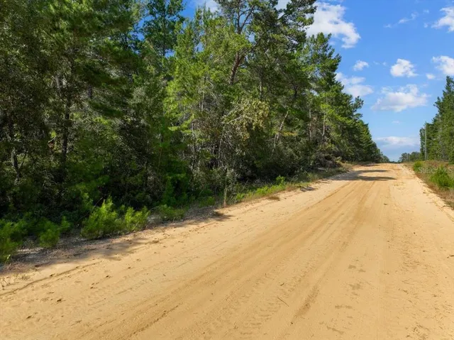 a view of a backyard of the house