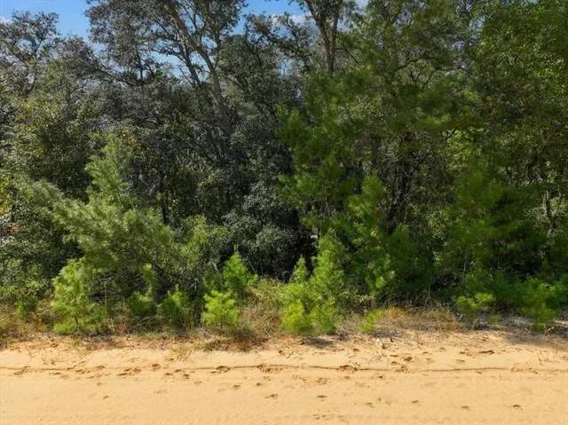 a view of a yard with a tree