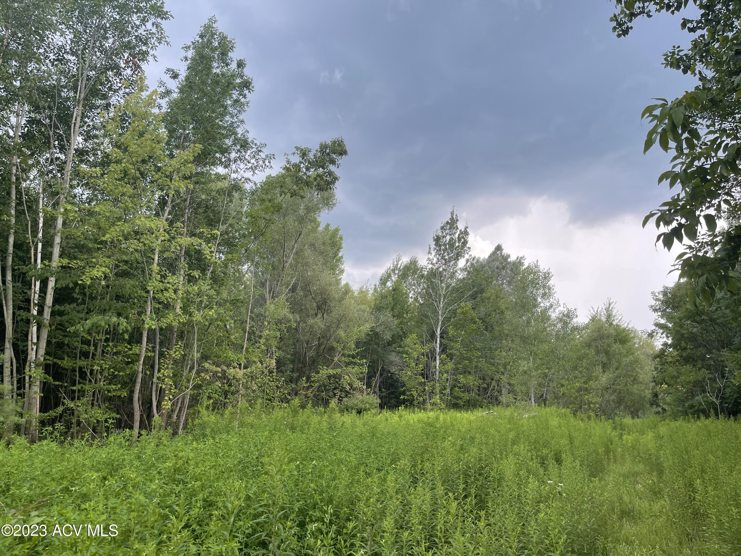 0 Wallace Hill Road Plattsburgh, NY 12901 - Photo 7 of 10 Gallery Image 7