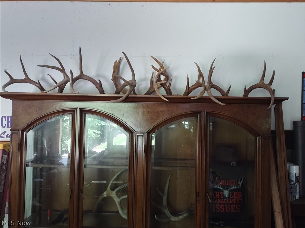 1511 Snowbird Road West Union, WV 26456 - Photo 26 of 26 Some of the trophies from the property