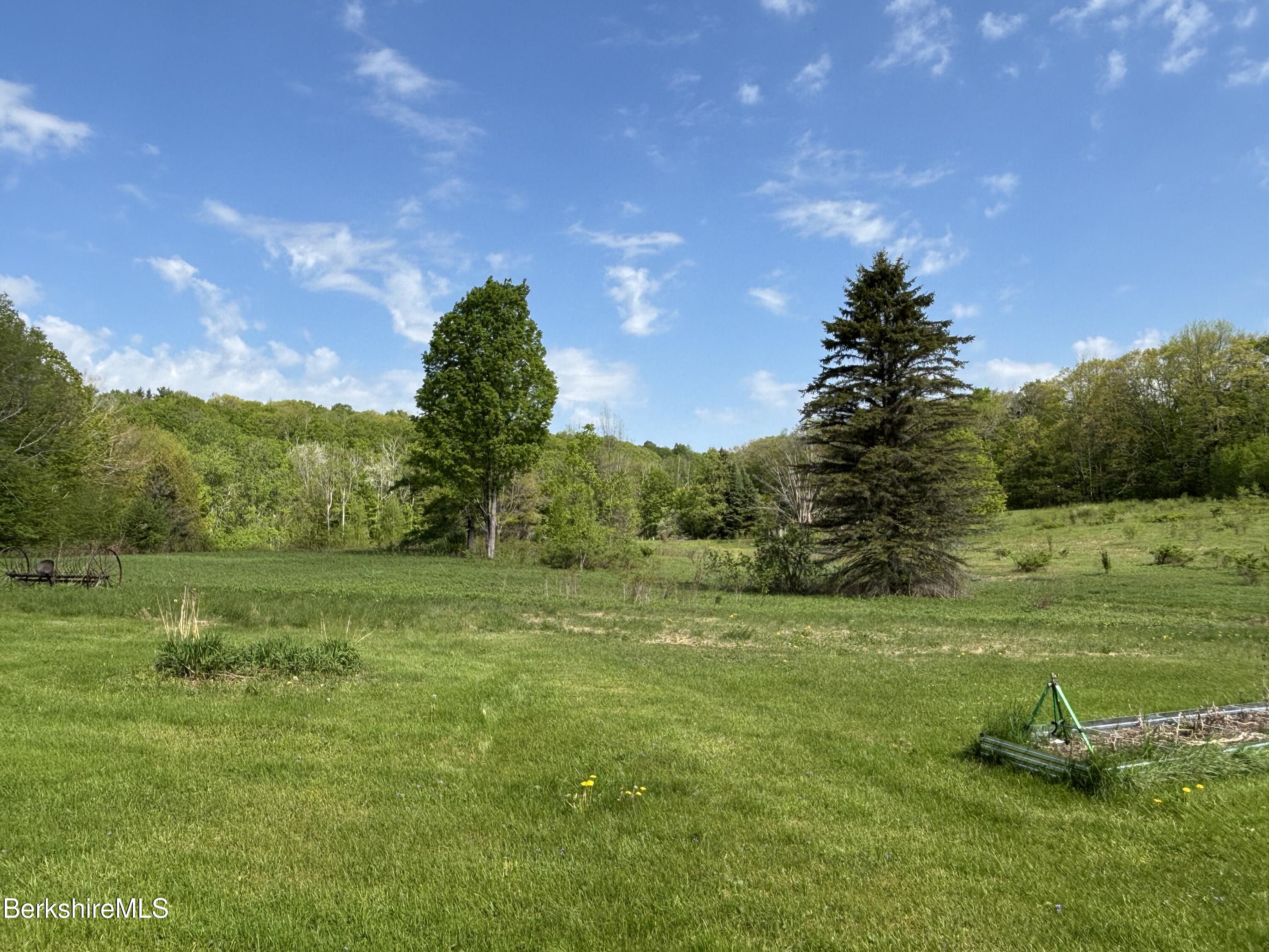86 Miner Road Lanesborough, MA 01237 - Photo 21 of 44 a view of a field with an trees