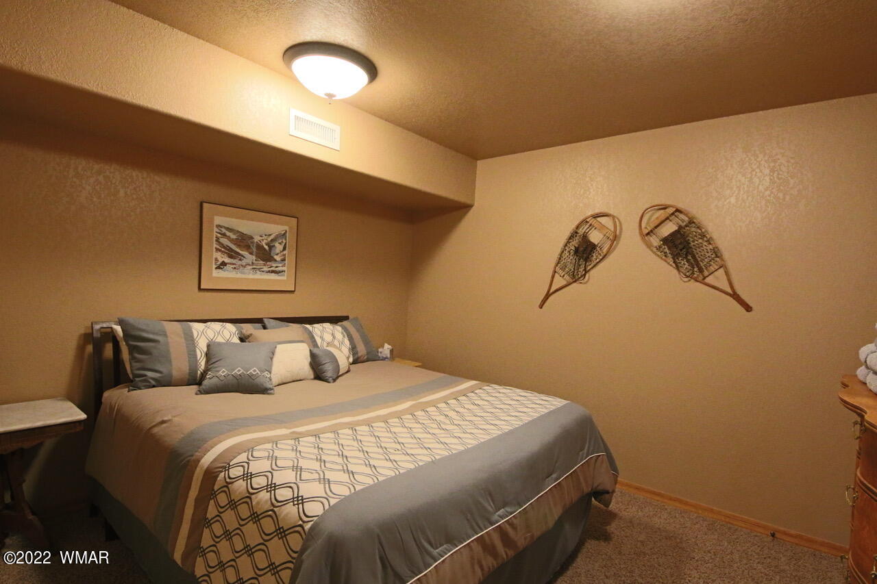 2769 Canyon Ridge Road Overgaard, AZ 85933 - Photo 33 of 92