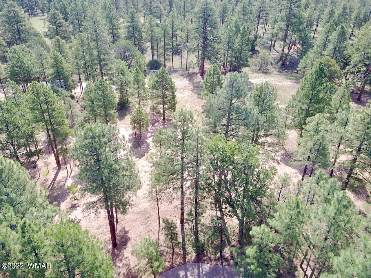 2769 Canyon Ridge Road Overgaard, AZ 85933 - Photo 78 of 92