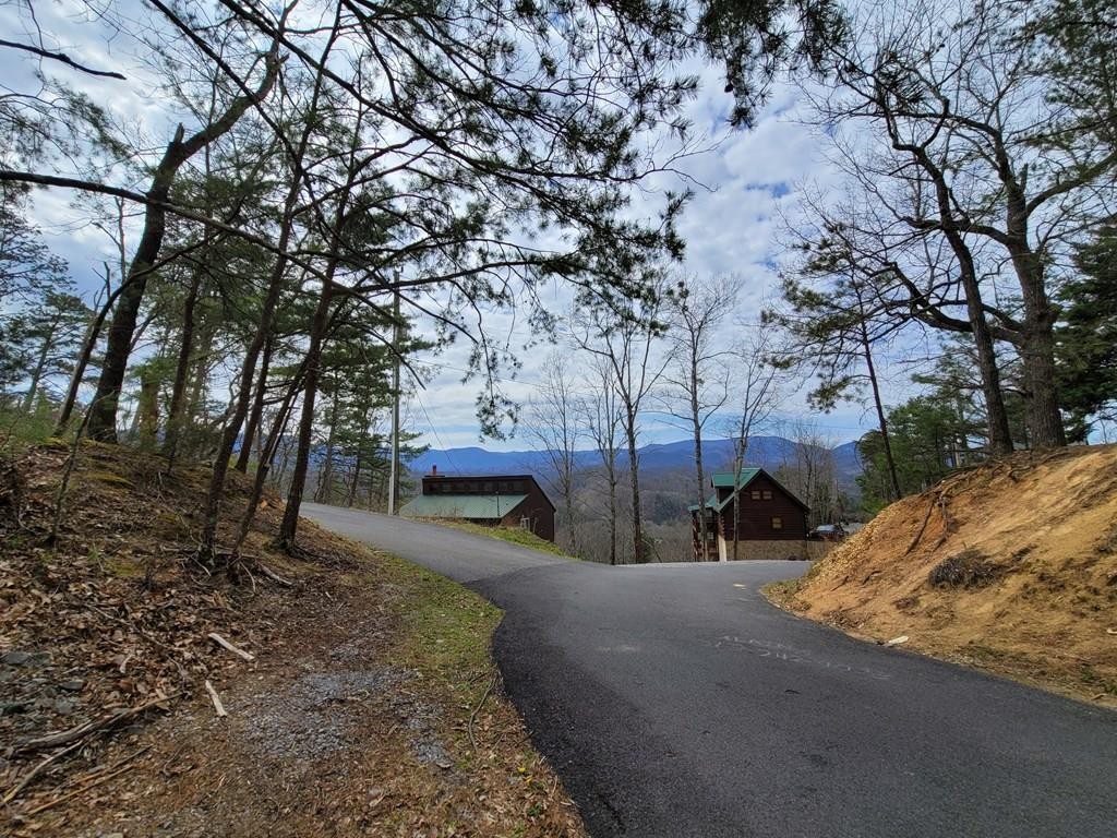 36 Blue Tick Way Sevierville, TN 37876 - Photo 2 of 25