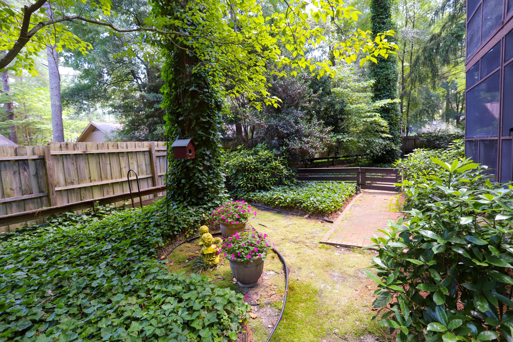4262 Smith Road Townsend, GA 31331 - Photo 50 of 59 backyard4