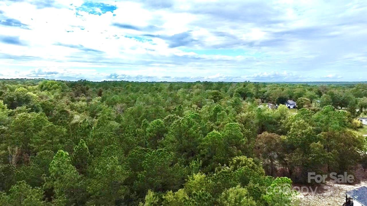 1171 Peach Orchard Road Jefferson, SC 29718 - Photo 24 of 30 a view of a city and mountains