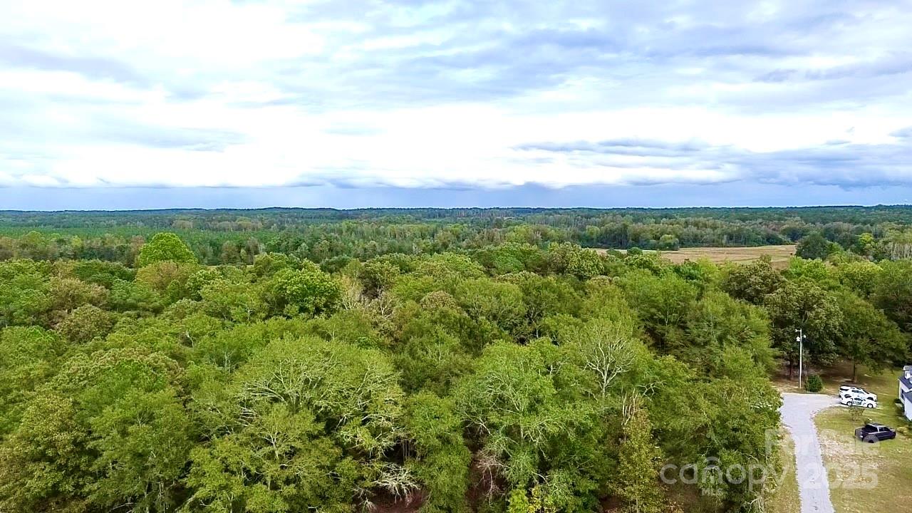 1171 Peach Orchard Road Jefferson, SC 29718 - Photo 25 of 30 a view of a green field with lots of bushes