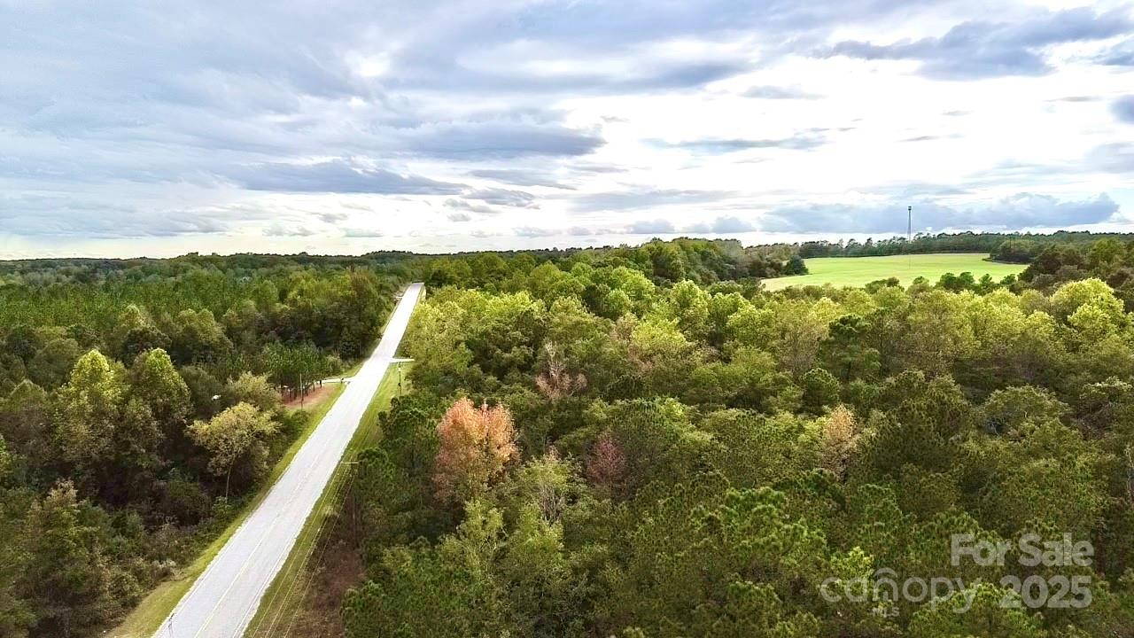 1171 Peach Orchard Road Jefferson, SC 29718 - Photo 26 of 30 a view of mountain
