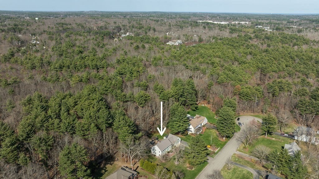 58 Buttercup Lane Hanover, MA 02339 - Photo 3 of 35 a view of a forest with an outdoor space