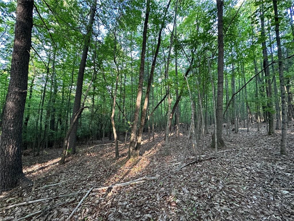 0 Wiley Royal Road Thurmond, NC 28683 - Photo 1 of 9 Gallery Image 1