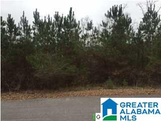 Laurelwood Road, Unit 6 Arley, AL 35541 - Photo 7 of 10