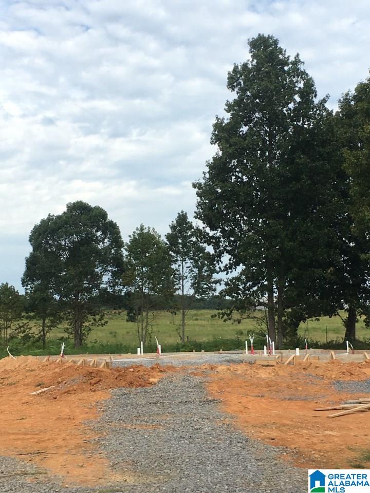 807 Bethel Church Road, Unit 1 Eva, AL 35621 - Photo 1 of 1