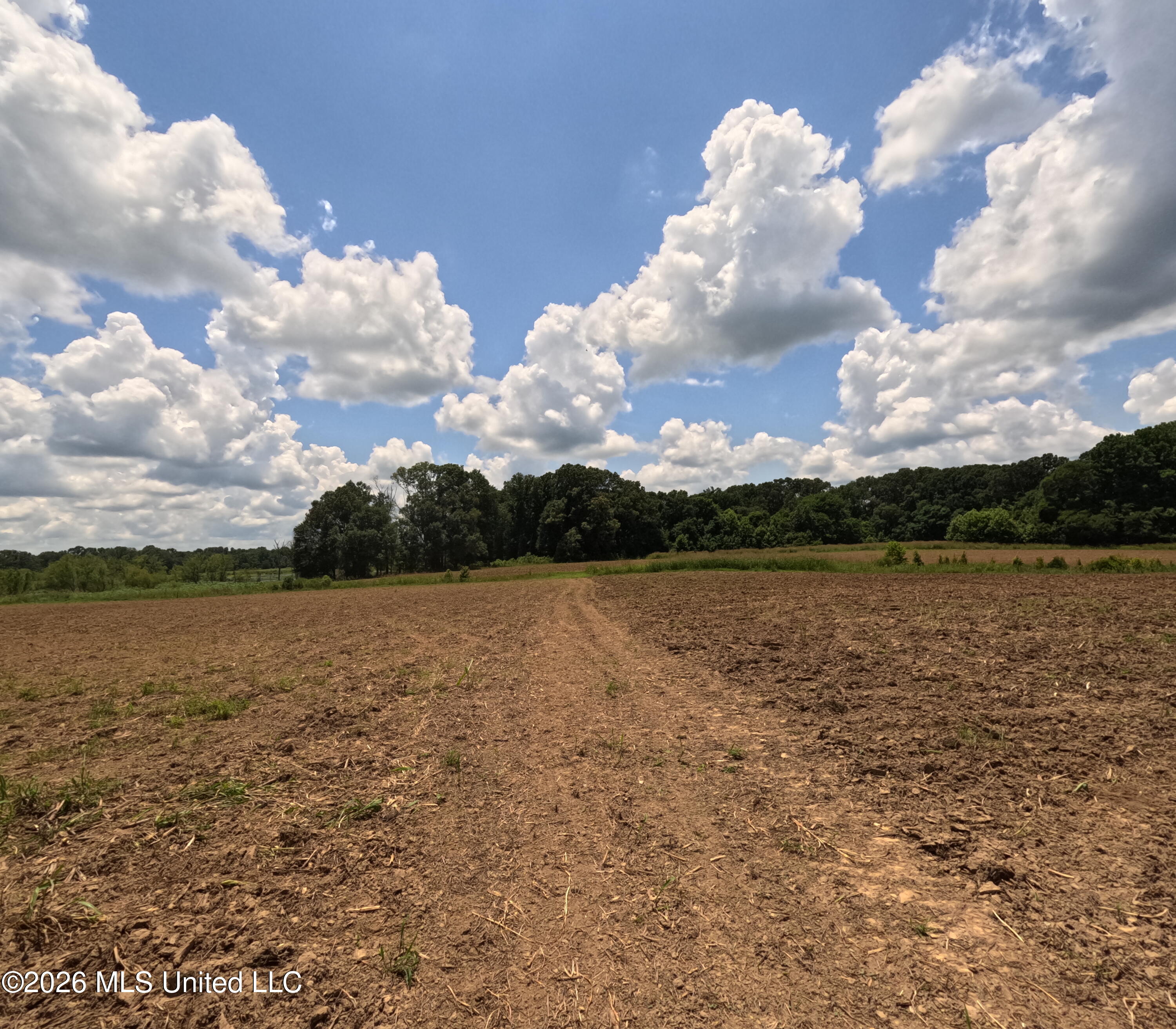 Old Port Edwards, MS 39066 - Photo 21 of 65 GOPR2261