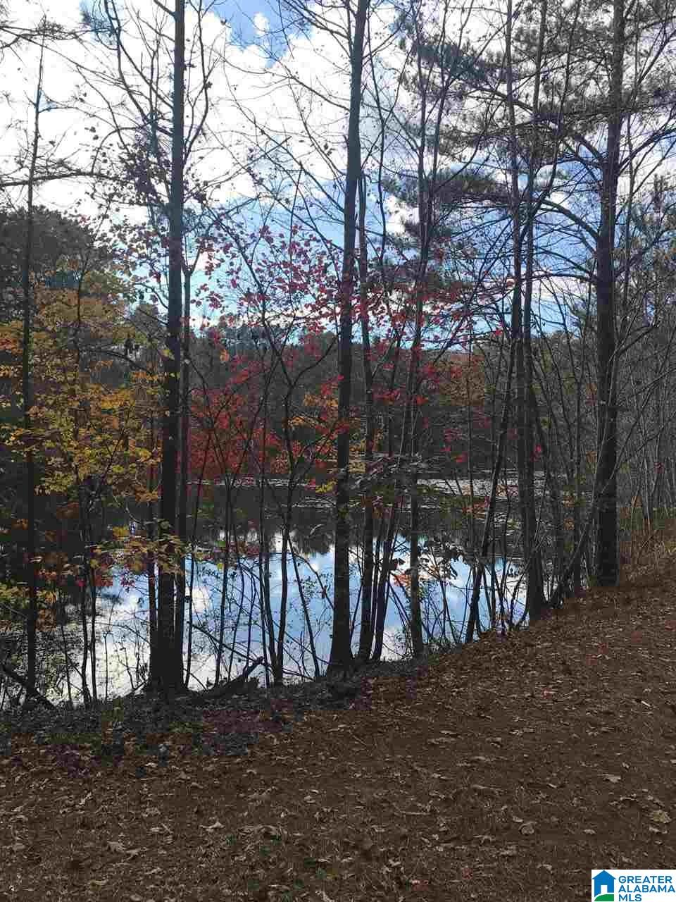 3415 Logan Martin Dam Road, Unit 48 / ACRES Vincent, AL 35178 - Photo 19 of 32