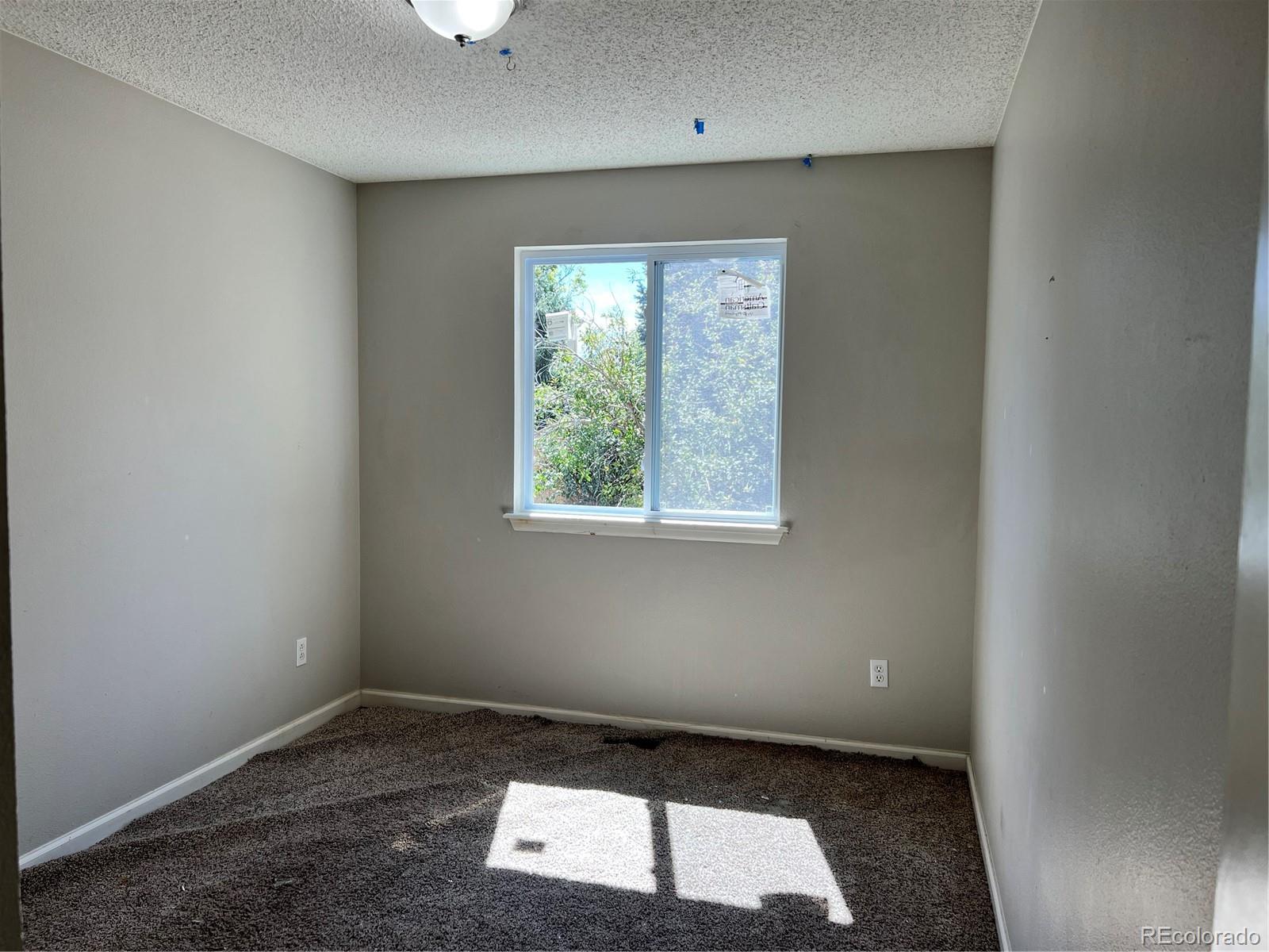 9925 Apollo Bay Way Highlands Ranch, CO 80130 - Photo 15 of 23 Gallery Image 15