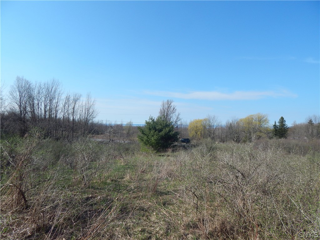 3918 Alene Corners Road Canastota, NY 13032 - Photo 7 of 10