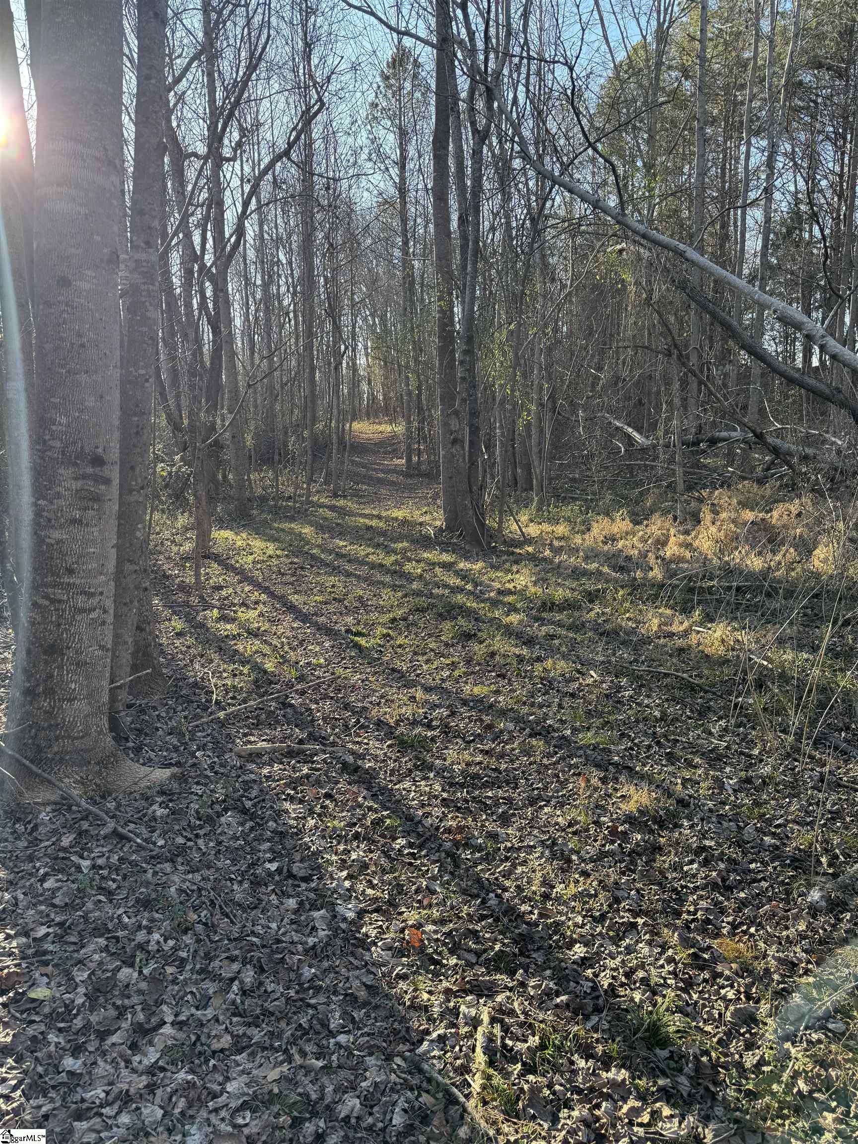 9070 Greenpond Road Gray Court, SC 29645 - Photo 11 of 21