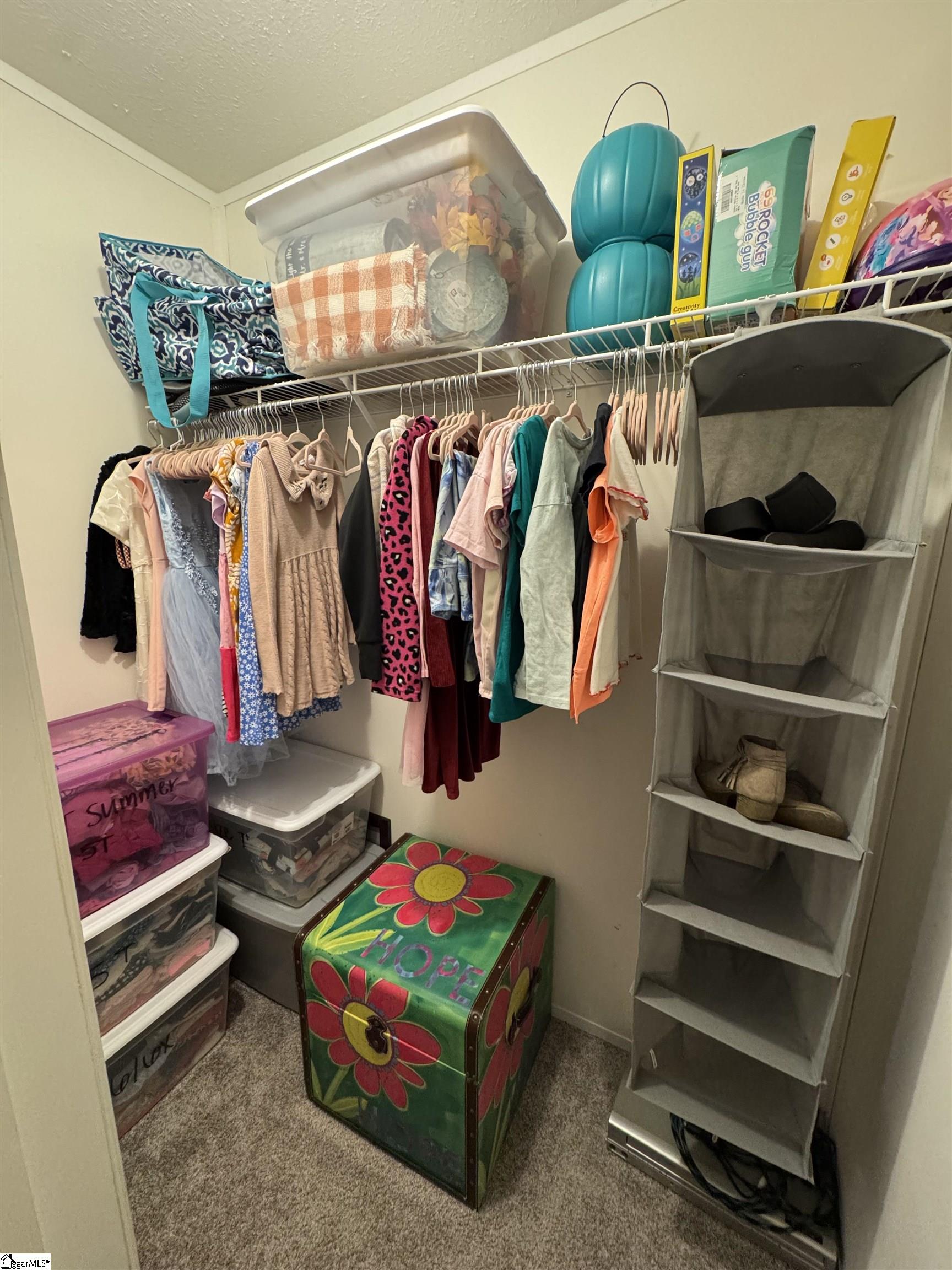 9070 Greenpond Road Gray Court, SC 29645 - Photo 5 of 21