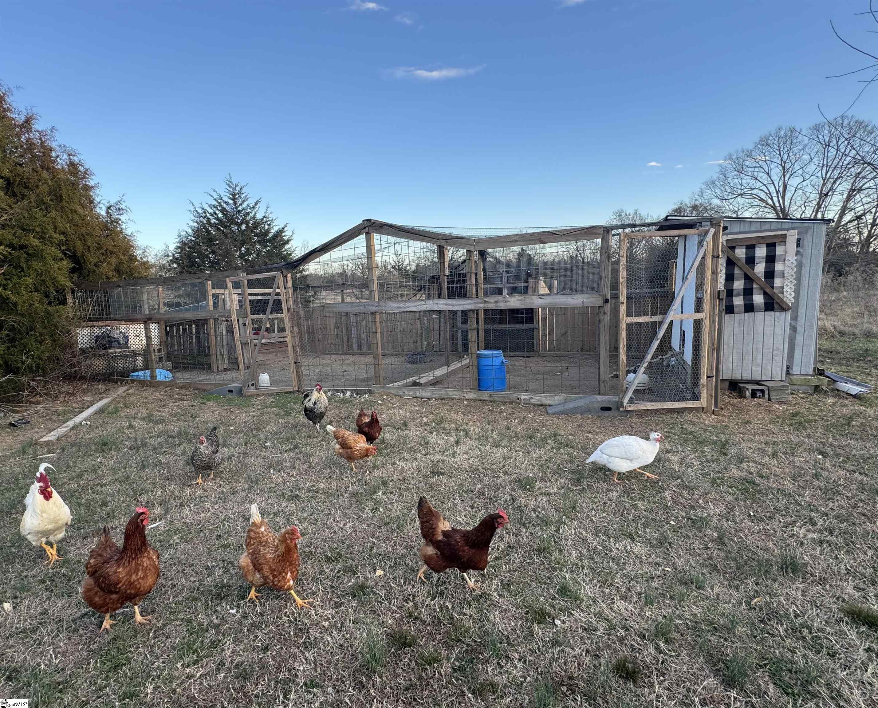 9070 Greenpond Road Gray Court, SC 29645 - Photo 9 of 21